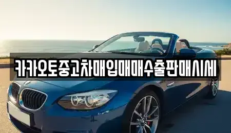충남 서산시 갈산동 중고차 전문 카카오토중고차매입매매수출판매시세