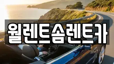 충남 아산시 신인동 렌트카 전문 월렌트솜렌트카