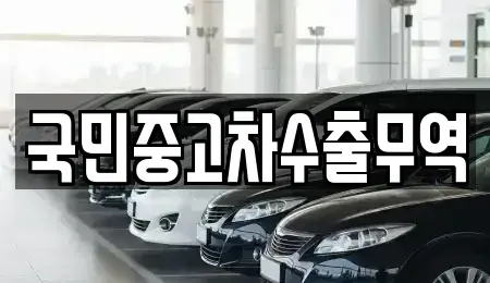 충남 아산시 신인동 중고차매매 전문 국민중고차수출무역