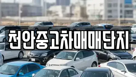 충남 천안시 동남구 영성동 중고차매매 전문 천안중고차매매단지