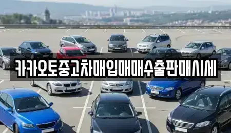 충남 천안시 동남구 영성동 중고차매입 전문 카카오토중고차매입매매수출판매시세