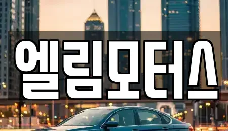 충북 음성군 음성읍 중고차 전문 엘림모터스