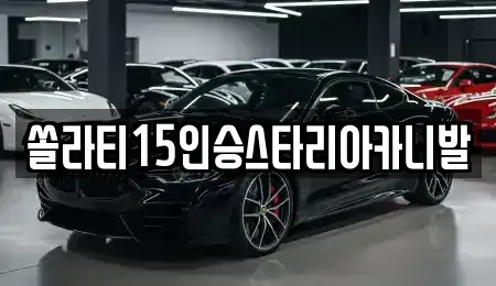 충북 제천시 자작동 렌트카 전문 쏠라티15인승스타리아카니발