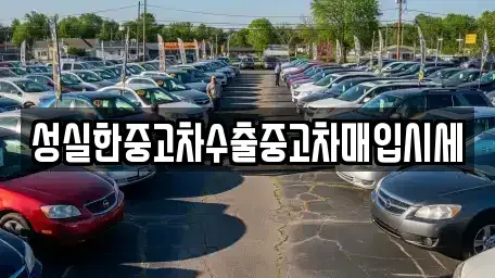 충북 진천군 중고차매입 전문 성실한중고차수출중고차매입시세