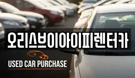 충청남도 공주시 금흥동 렌트카 전문 오리스브이아이피렌터카