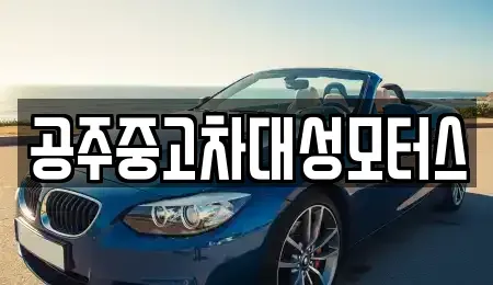 충청남도 공주시 금흥동 중고차 전문 공주중고차대성모터스