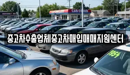 충청남도 공주시 금흥동 중고차매매 전문 중고차수출업체중고차매입매매지원센터