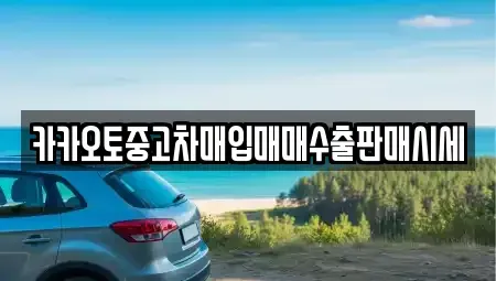 충청남도 금산군 진산면 중고차 전문 카카오토중고차매입매매수출판매시세