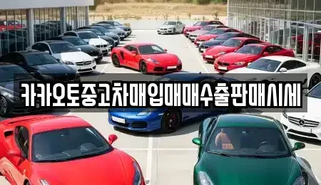 충청남도 당진시 순성면 중고차 전문 카카오토중고차매입매매수출판매시세