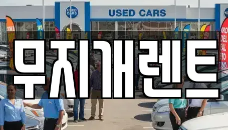 충청남도 보령시 청라면 렌트카 전문 무지개렌트