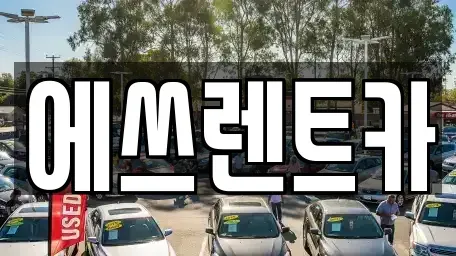 충청남도 보령시 청라면 렌트카 전문 에쓰렌트카