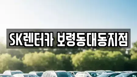 충청남도 보령시 청라면 장기렌트카 전문 SK렌터카 보령동대동지점