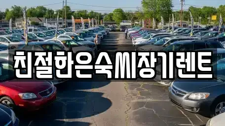 충청남도 보령시 청라면 장기렌트카,중고차,렌트카,단기렌트카,중고차매입,중고차매매