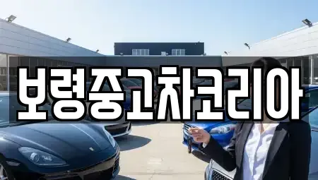 충청남도 보령시 청라면 중고차 전문 보령중고차코리아