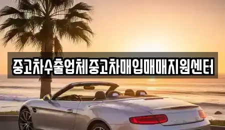 충청남도 보령시 청라면 중고차 전문 중고차수출업체중고차매입매매지원센터