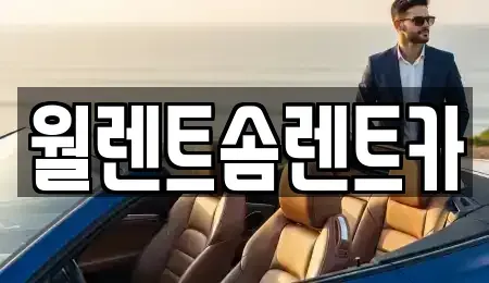 충청남도 아산시 모종동 렌트카 전문 월렌트솜렌트카