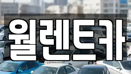 충청남도 천안시 동남구 구룡동 렌트카 전문 월렌트카