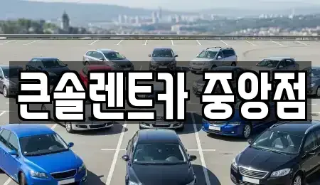 충청남도 천안시 동남구 구룡동 렌트카 전문 큰솔렌트카 중앙점