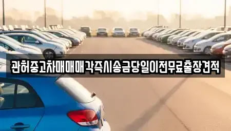 충청남도 천안시 동남구 구룡동 중고차 전문 관허중고차매매매각즉시송금당일이전무료출장견적