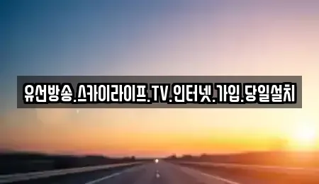 충청남도 천안시 동남구 구룡동 중고차 전문 유선방송.스카이라이프.TV.인터넷.가입.당일설치