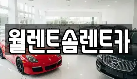 충청남도 천안시 서북구 쌍용동 렌트카 전문 월렌트솜렌트카