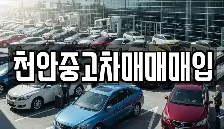 충청남도 천안시 서북구 쌍용동 중고차매매 전문 천안중고차매매매입