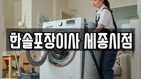 한솔포장이사 세종시점